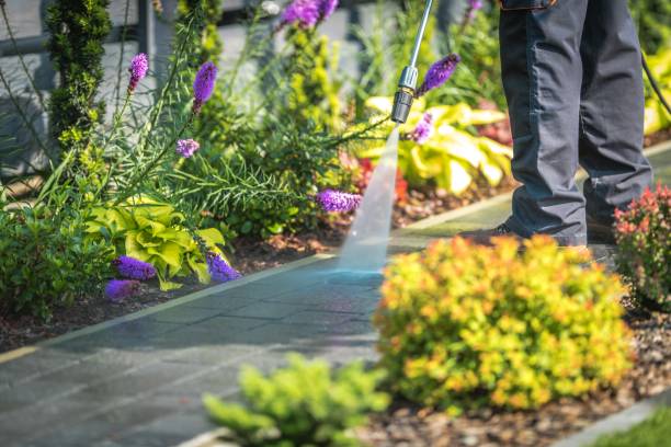 Best Commercial Pressure Washing in Augusta, WI
