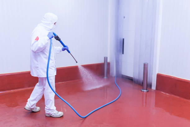 Trusted Augusta, WI Pressure Washing Services Experts